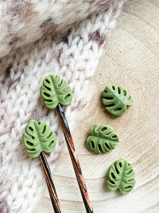Monstera græn